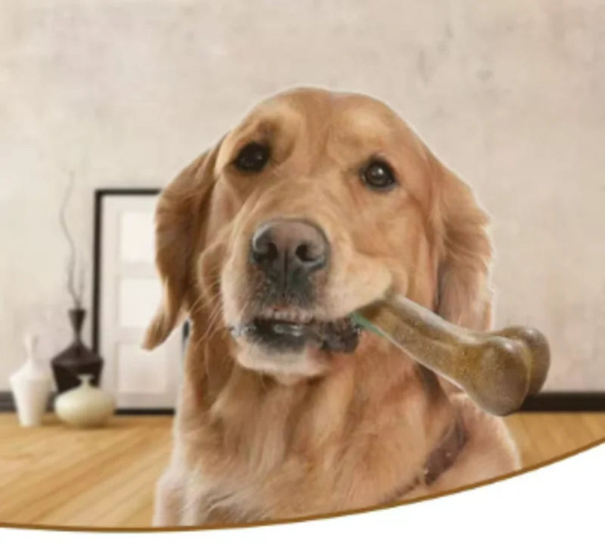 Natural Wood Dog Chew Bone Toy