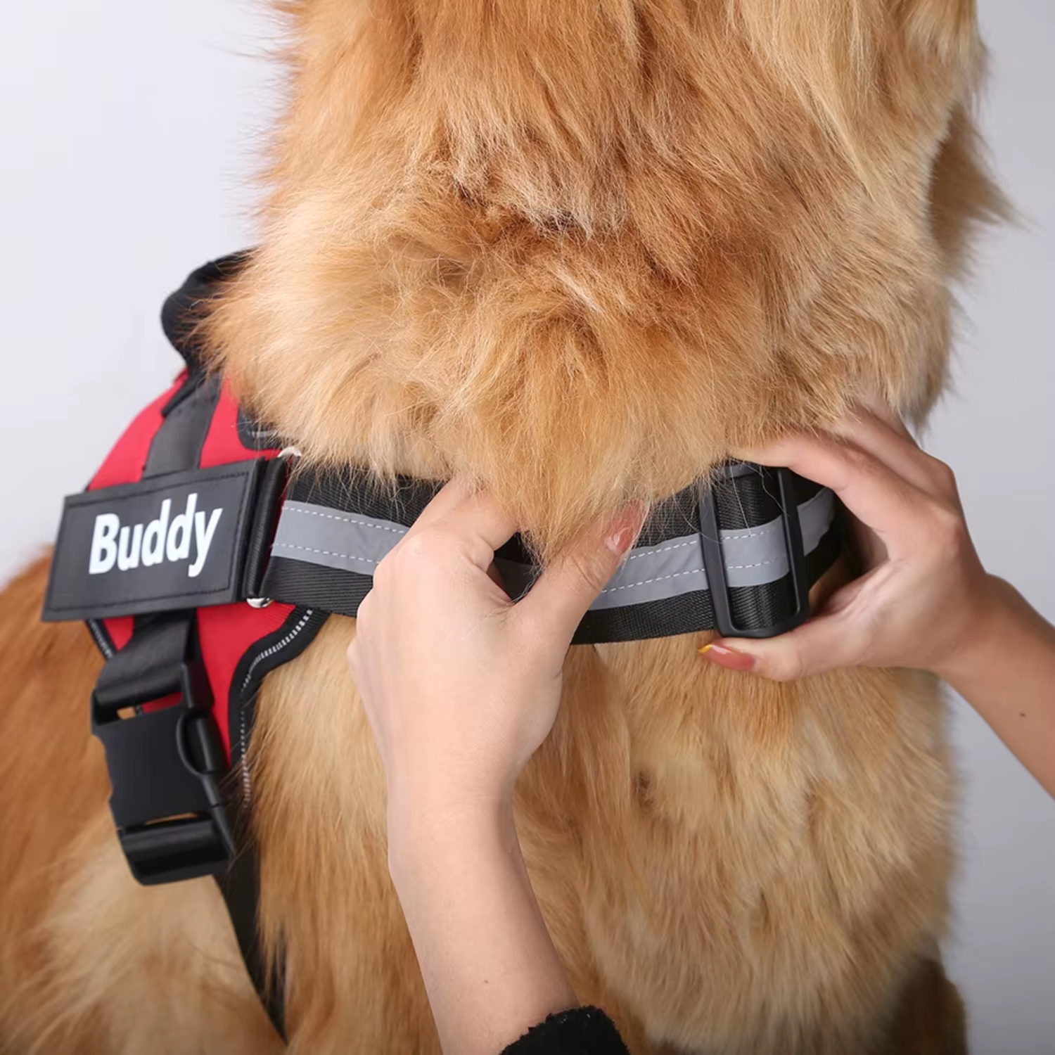 Personalized Dog Reflective Breathable Pet Harness Vest - Best Buddy Store