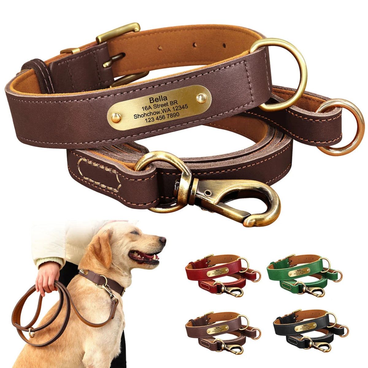 Personalized Leather Dog Collar - Free Engraving