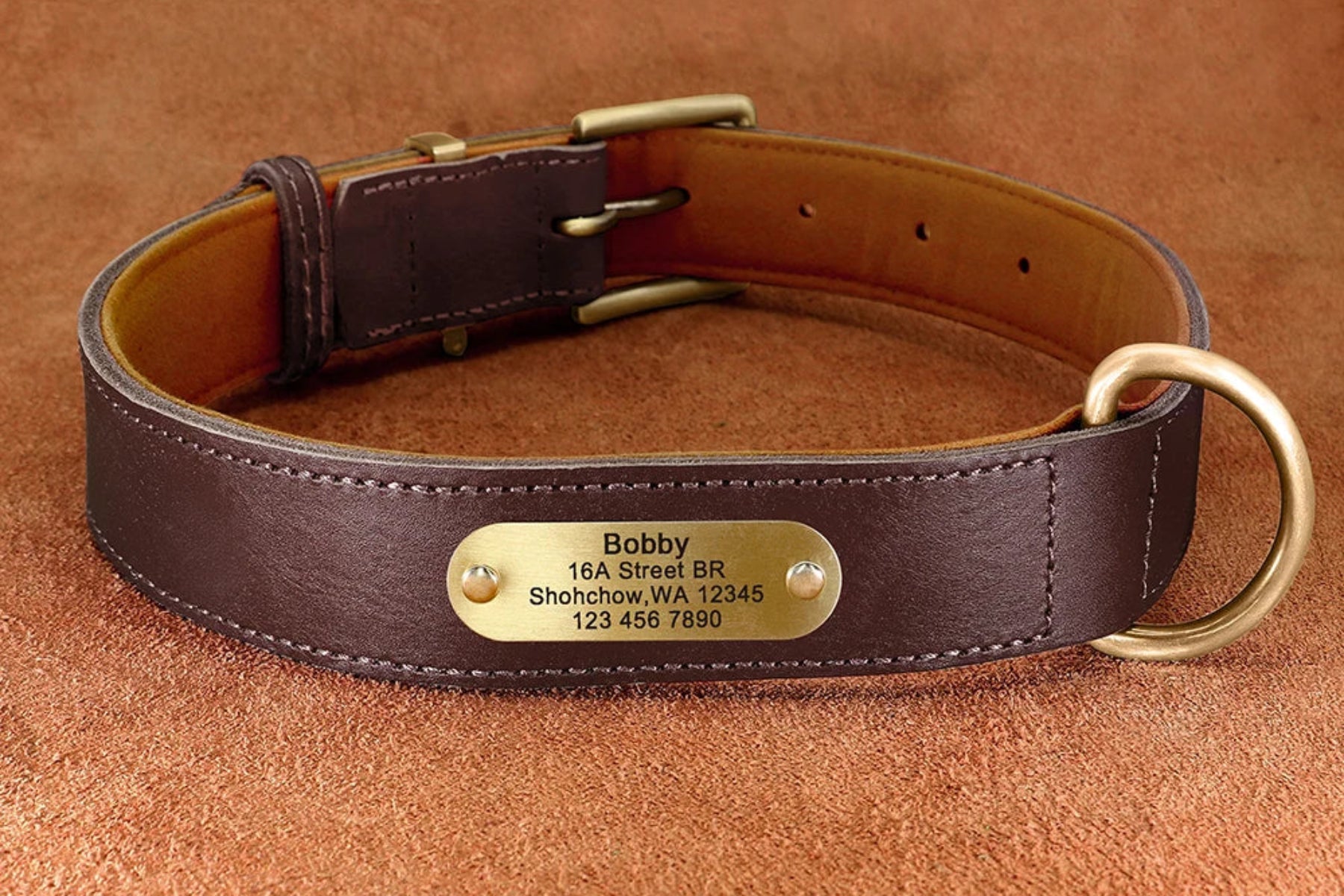 Personalized Leather Dog Collar - Free Engraving