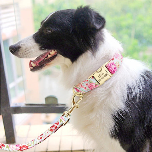 Personalized Nylon Dog Collar & Leash Set