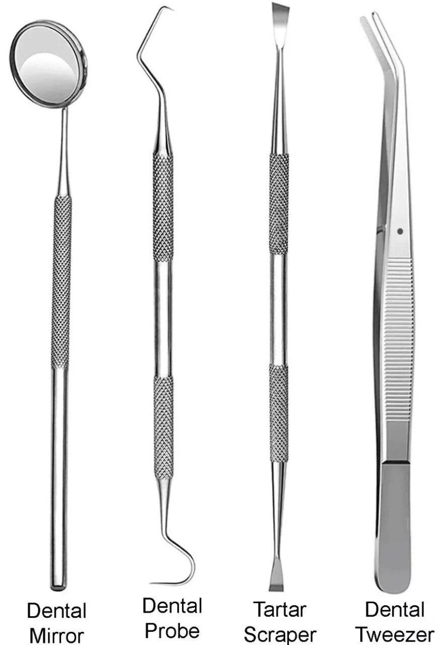 Pet Dental Cleaning Kit – 4-Piece Stainless Steel Tooth Scraper Set