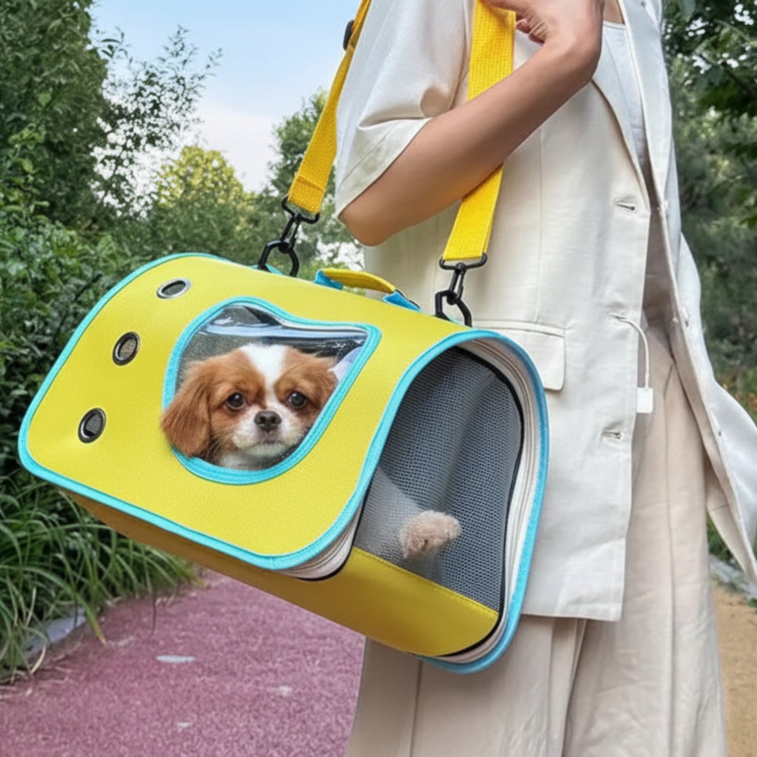 Portable Pet Carrier Bag – Foldable & Breathable for Cats and Small Dogs