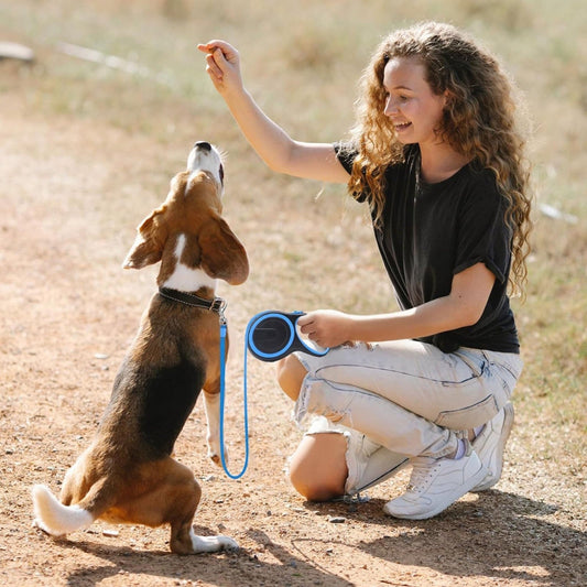 Retractable Dog Leash — 16ft, 360° Tangle-Free, One-Button Lock