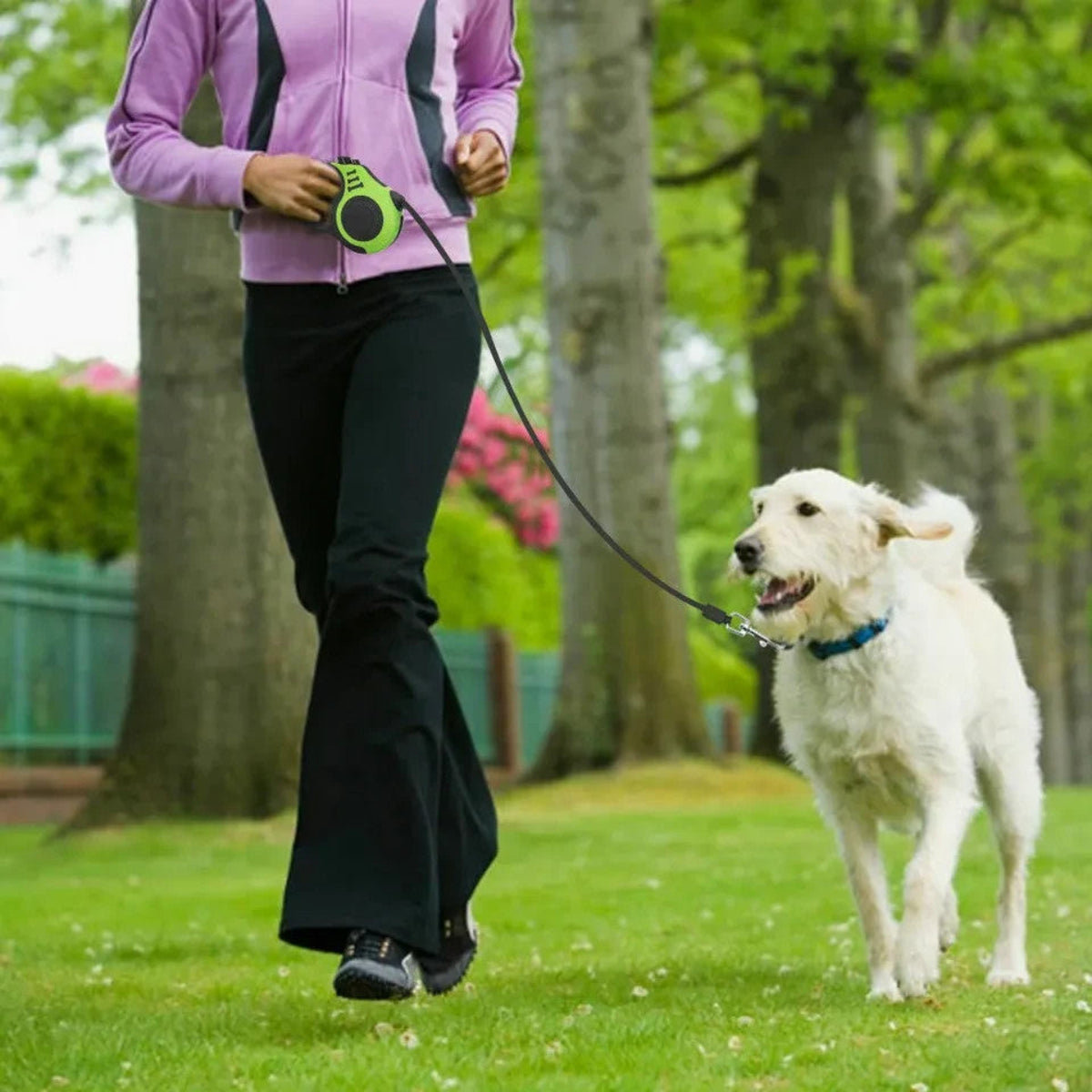Retractable Dog Leash — One-Touch Brake & Lock, Swivel Snap