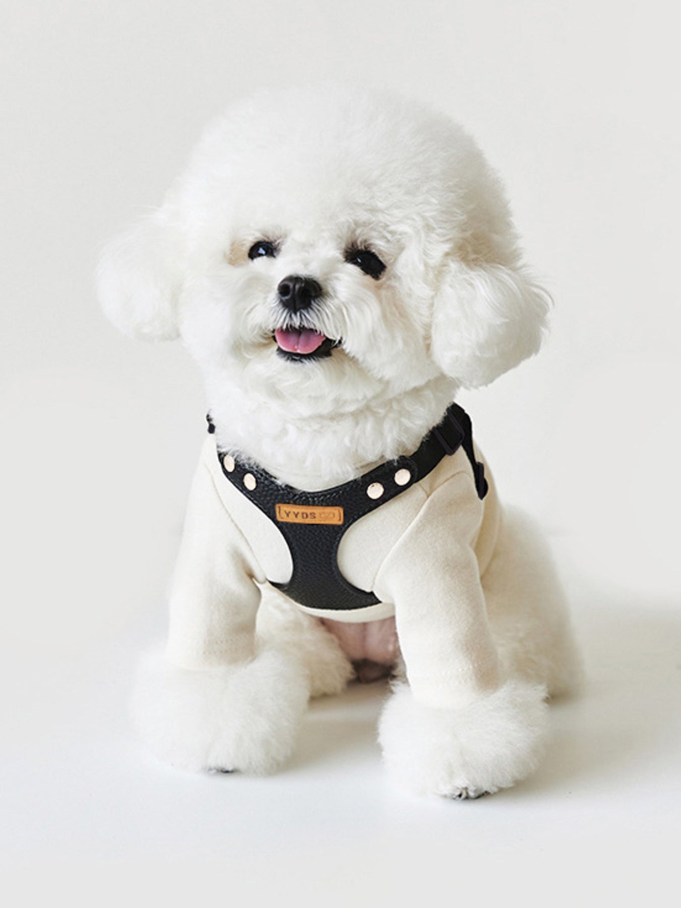 Rivet-Decorated Dog Harness & Leash Set