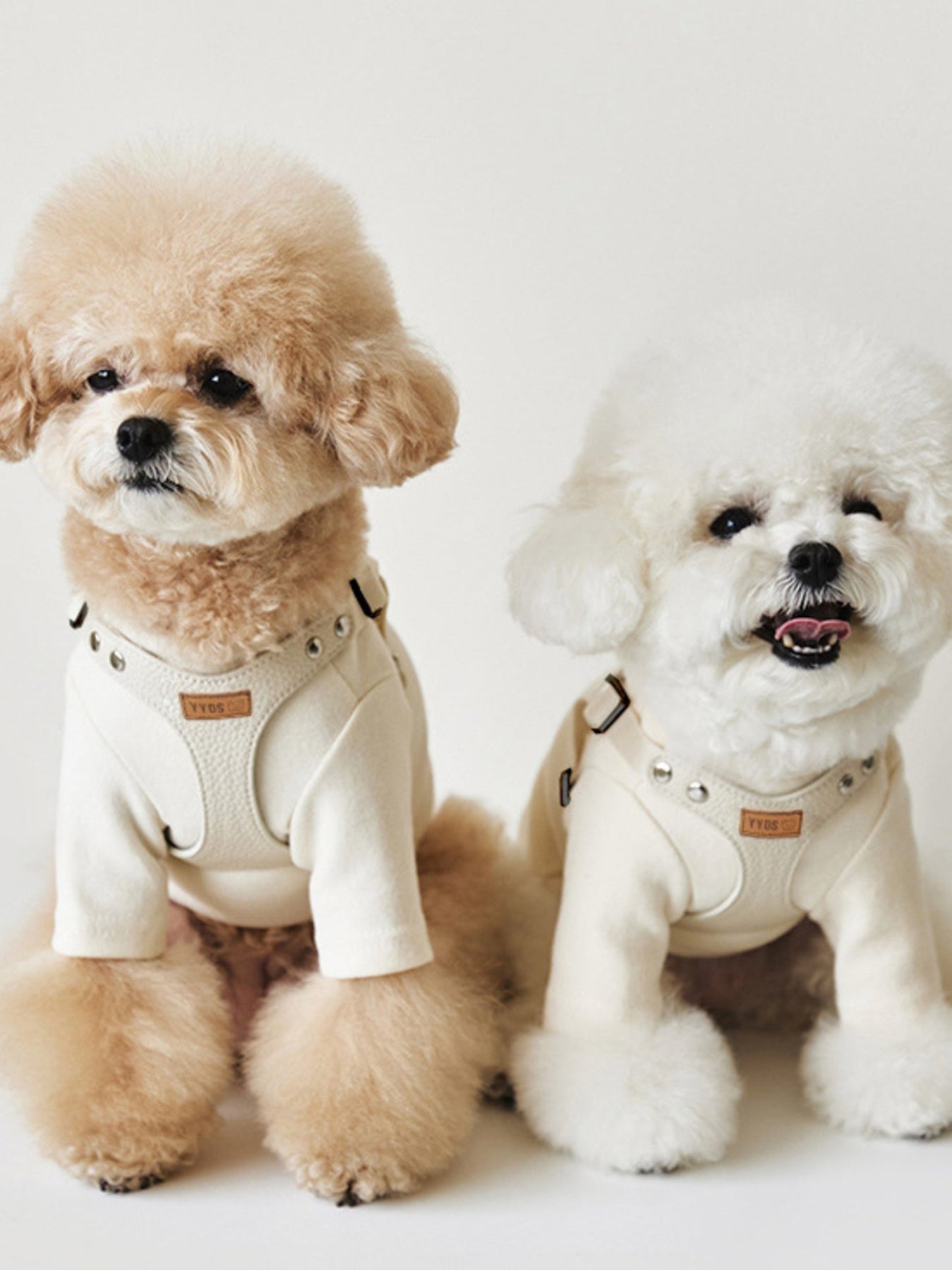 Rivet-Decorated Dog Harness & Leash Set