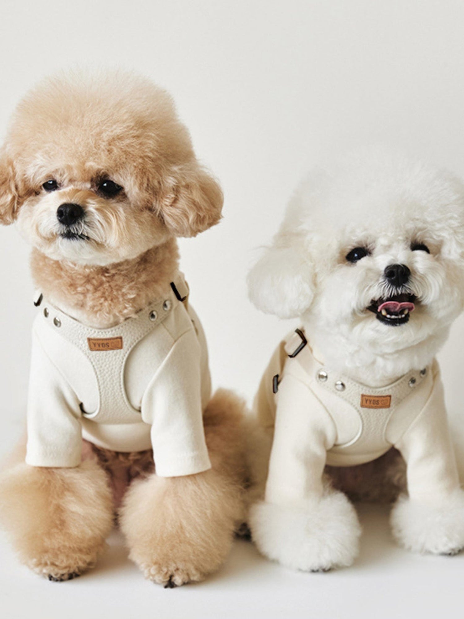 Rivet-Decorated Dog Harness & Leash Set