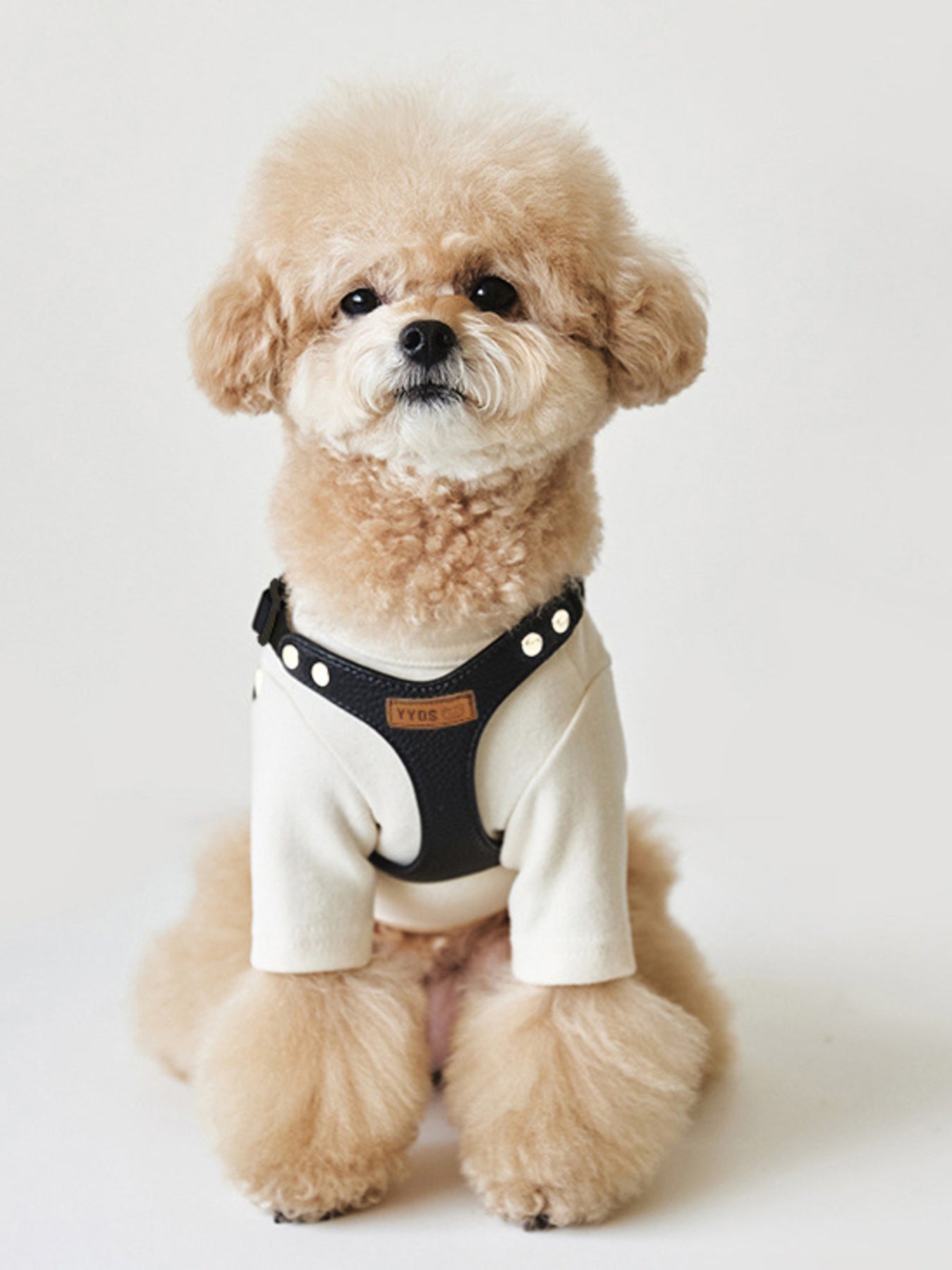 Rivet-Decorated Dog Harness & Leash Set