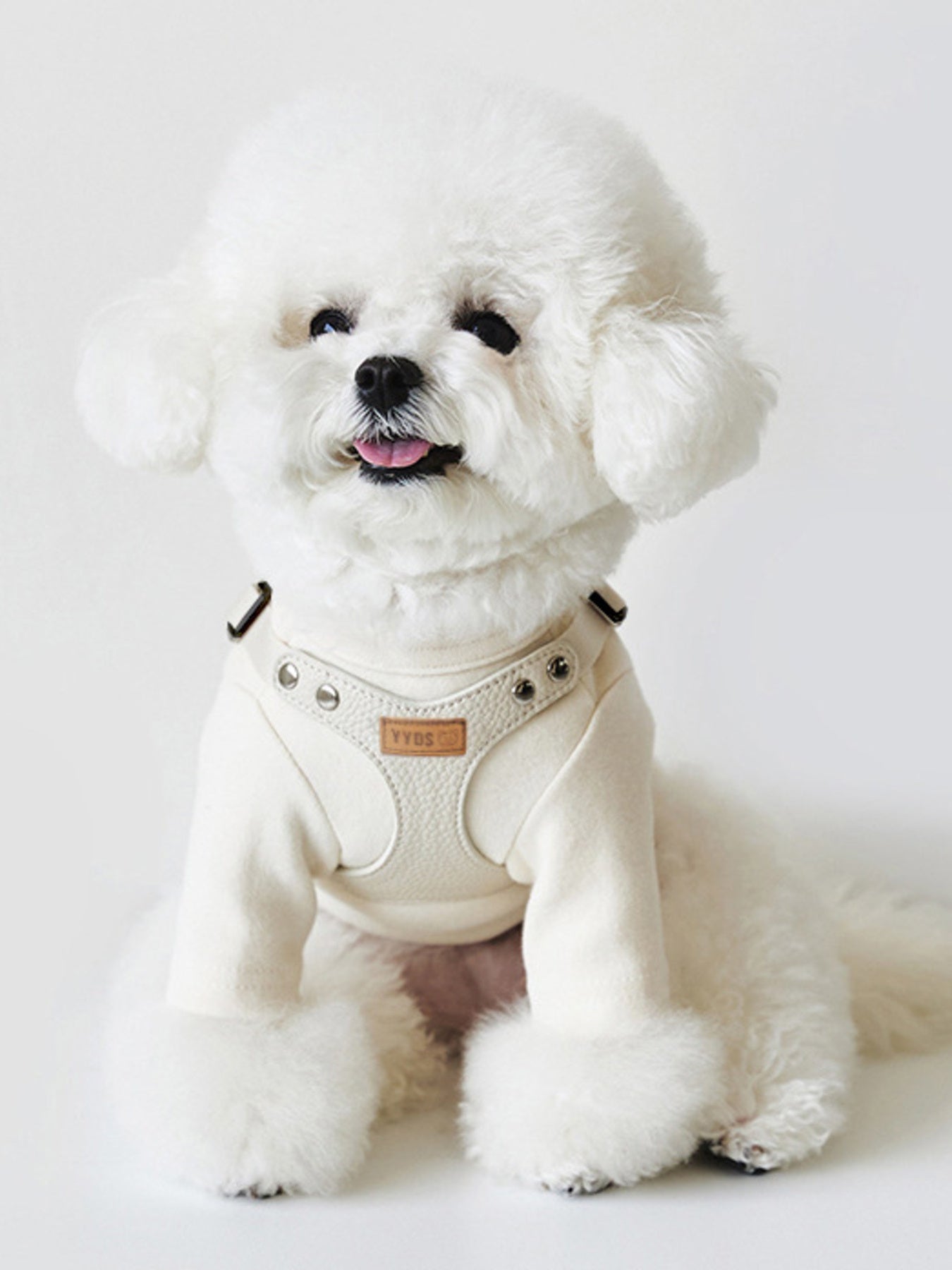 Rivet-Decorated Dog Harness & Leash Set