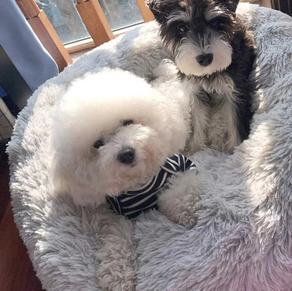 Fluffy Round Pet Bed