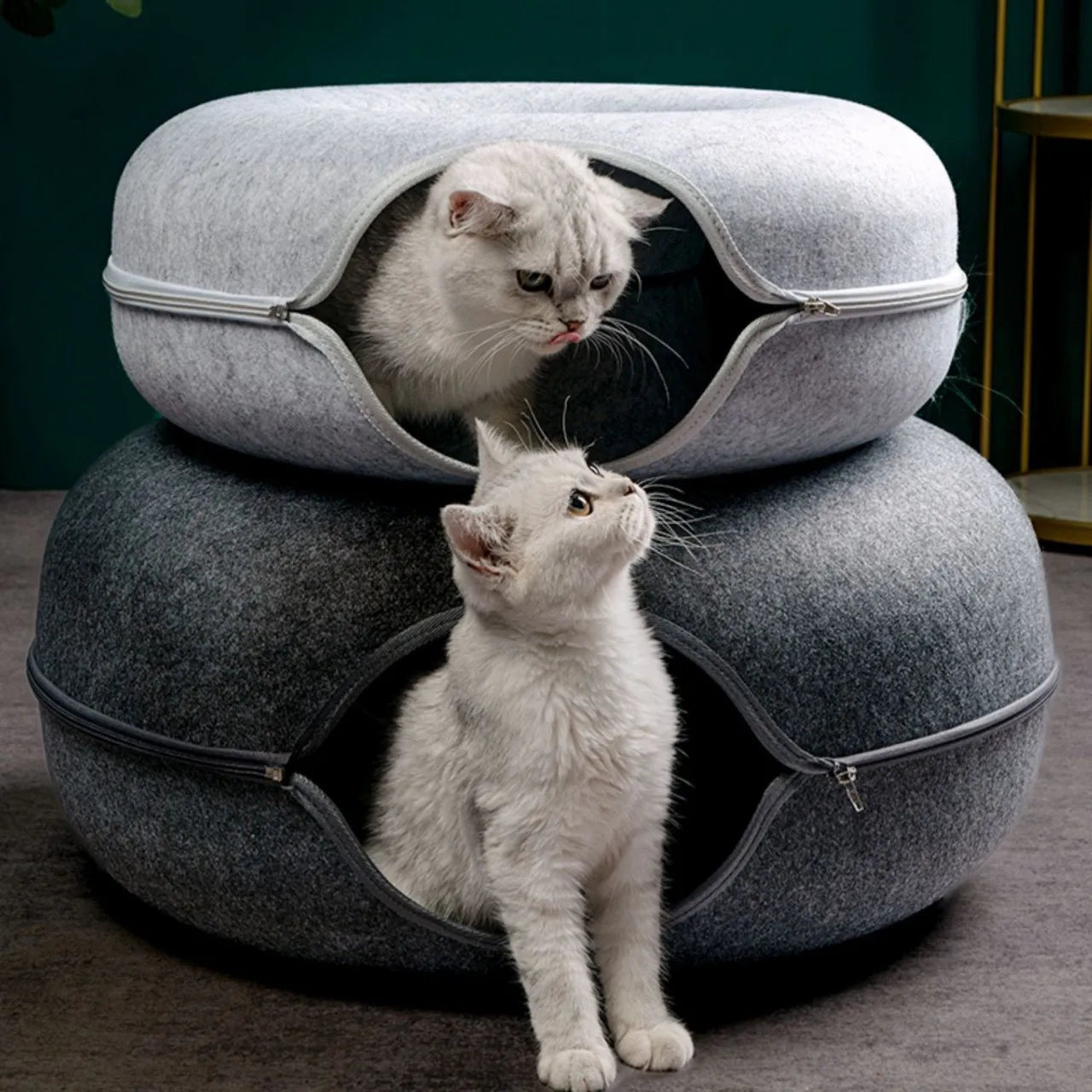 Cozy Donut Cat Bed & Tunnel