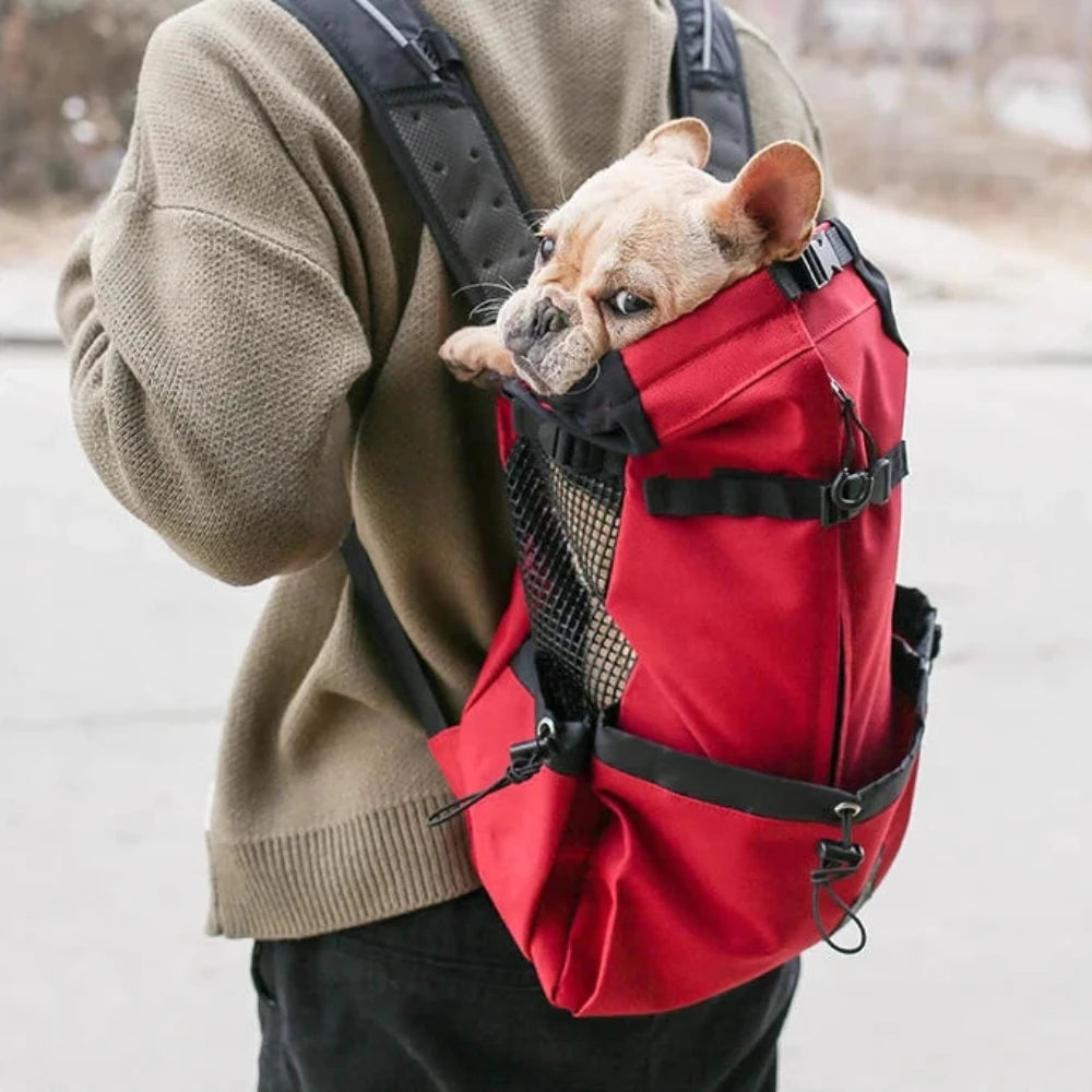 Dog Backpack Carrier Hiking Bag - BestBuddyStore