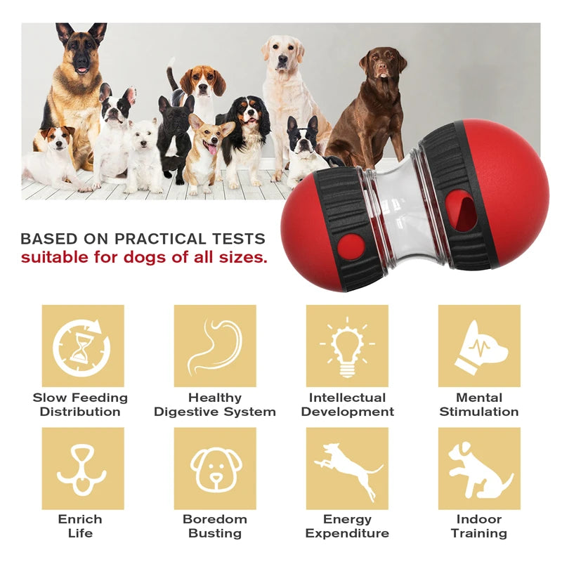 Interactive Dog Toy – Elliptical Track with Leaky Food - BestBuddyStore