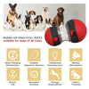 Interactive Dog Toy – Elliptical Track with Leaky Food - BestBuddyStore