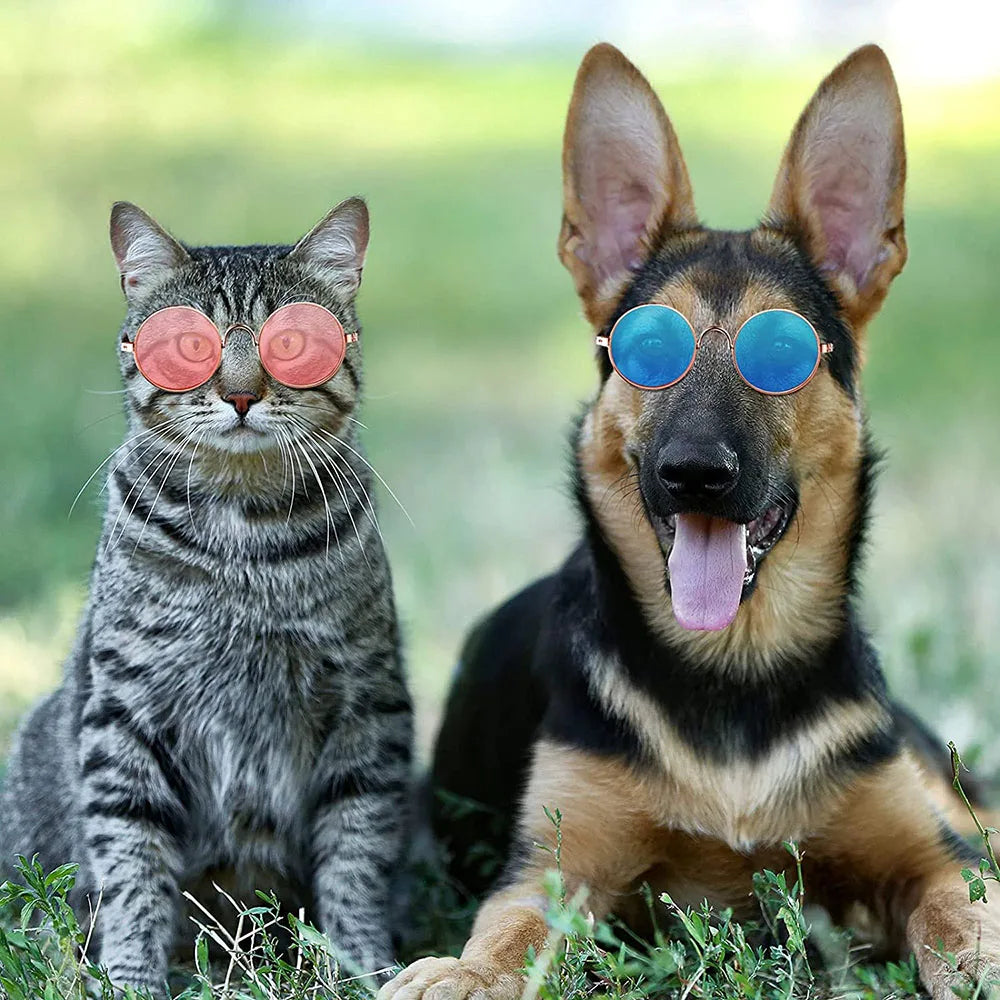 Cat Dog Funny Round Metal Retro Sunglasses with Anti Slip Belt - BestBuddyStore