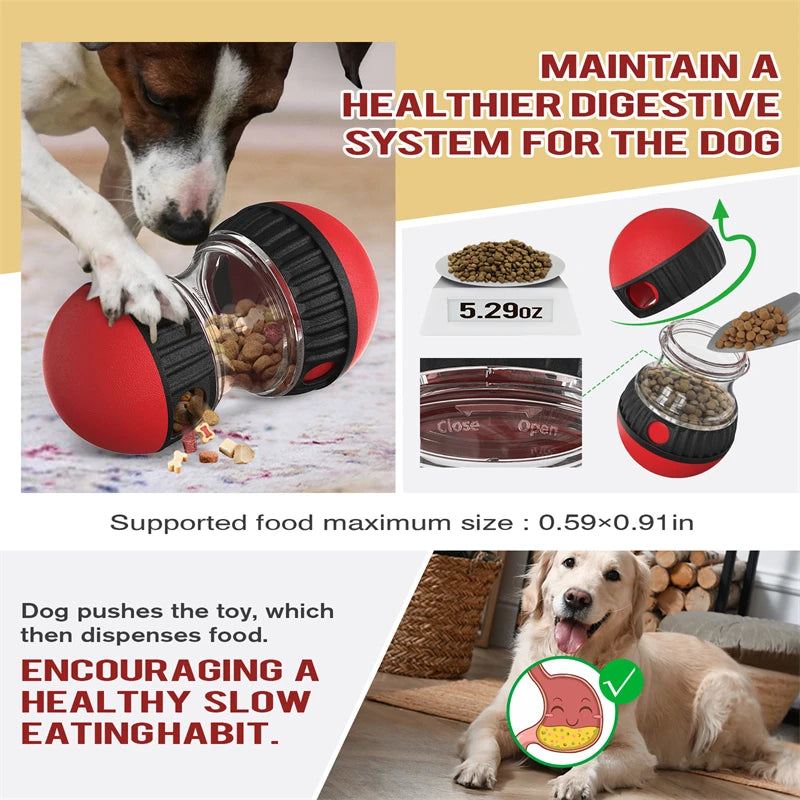 Interactive Dog Toy – Elliptical Track with Leaky Food - BestBuddyStore