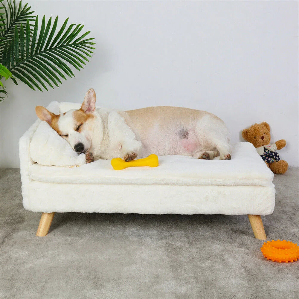 Luxury Elevated Dog Sofa Bed with Backrest Plush Cushion