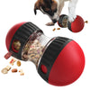 Interactive Dog Toy – Elliptical Track with Leaky Food - BestBuddyStore