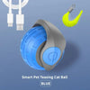 Smart Interactive Rolling Teaser USB Rechargeable Moving Bouncing Ball