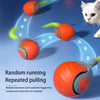 Smart Interactive Rolling Teaser USB Rechargeable Moving Bouncing Ball