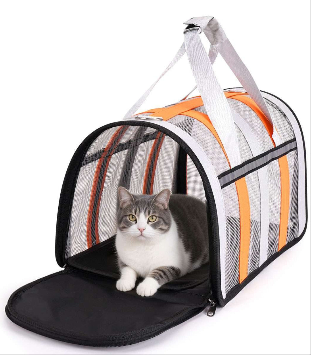 Soft-Sided Pet Carrier Tote Bag