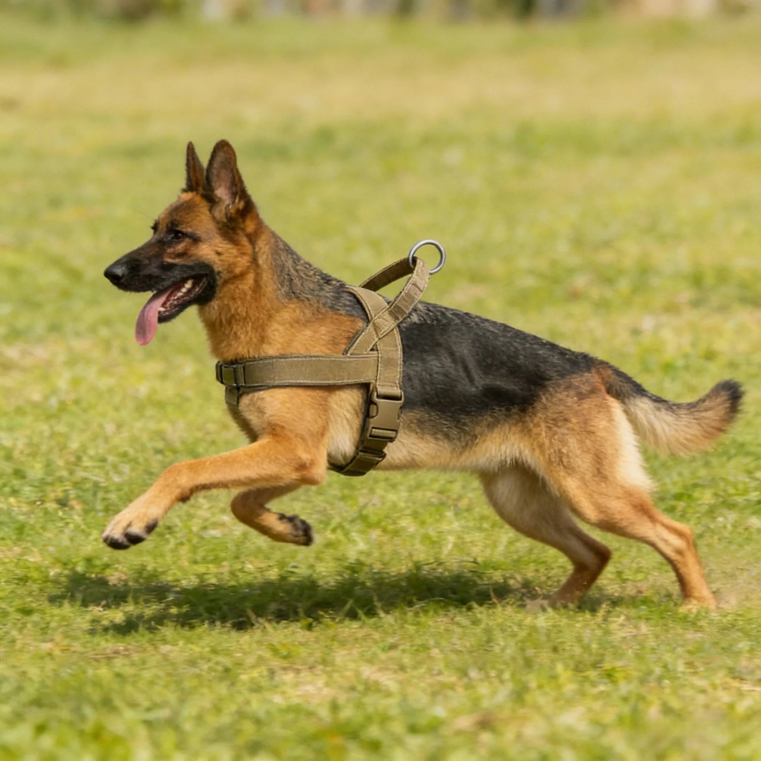 Tactical No-Pull Dog Harness – Heavy Duty, Reflective & Padded