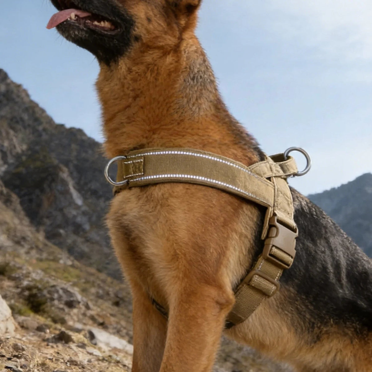 Tactical No-Pull Dog Harness – Heavy Duty, Reflective & Padded