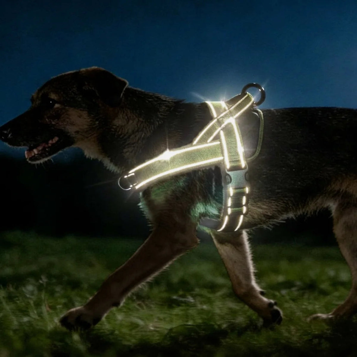 Tactical No-Pull Dog Harness – Heavy Duty, Reflective & Padded