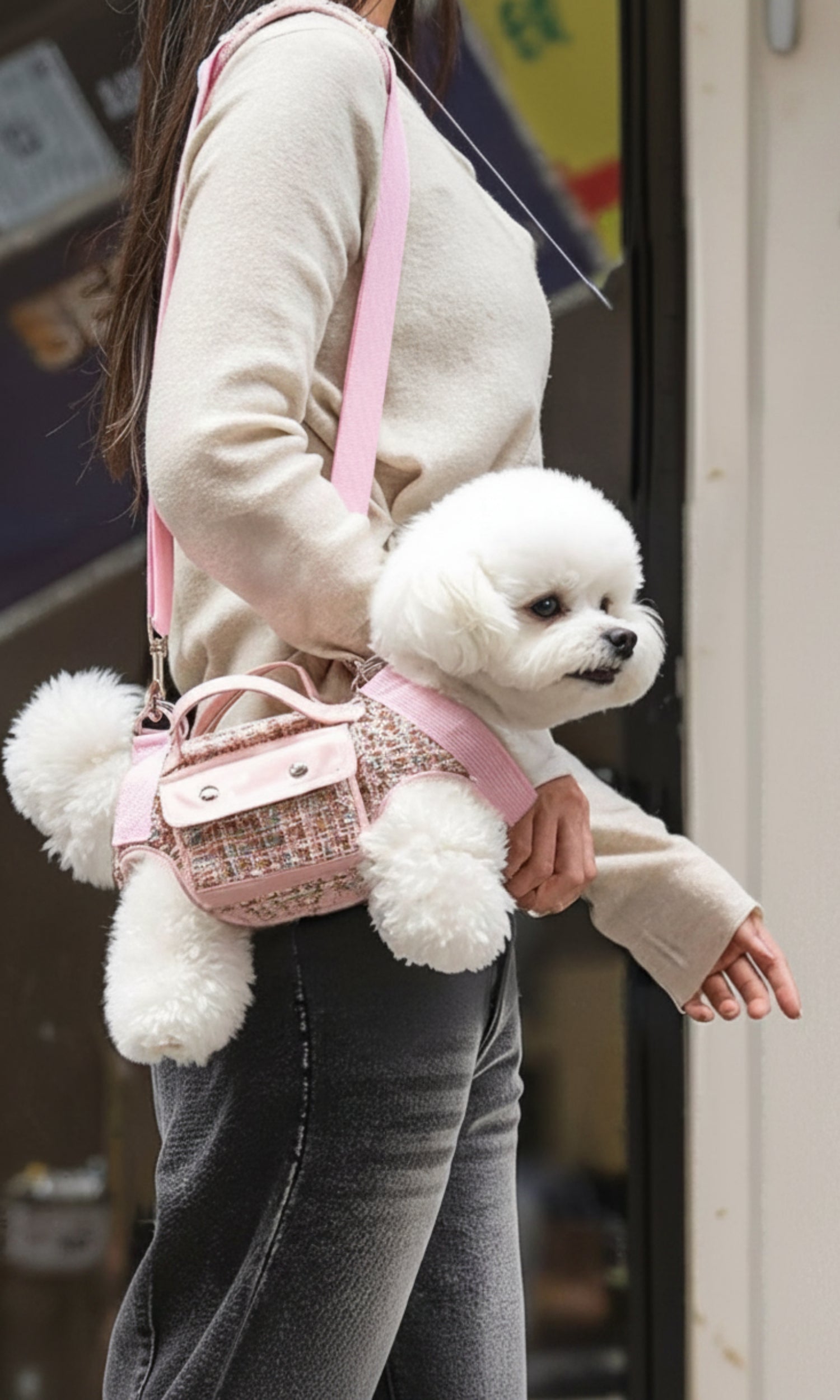 Tweed Dog Harness with Leash Strap