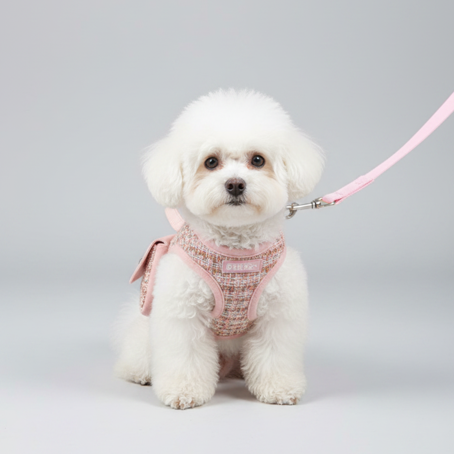 Tweed Dog Harness with Leash Strap