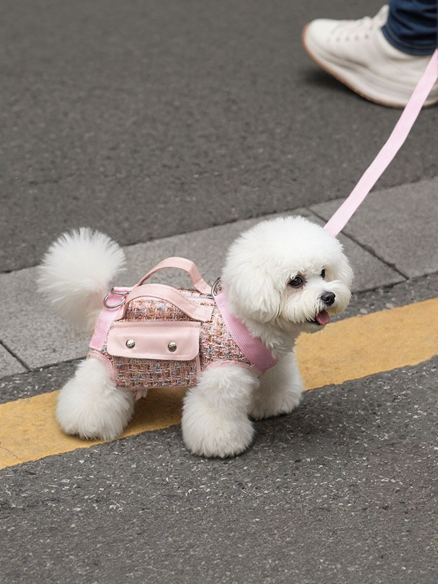 Tweed Dog Harness with Leash Strap