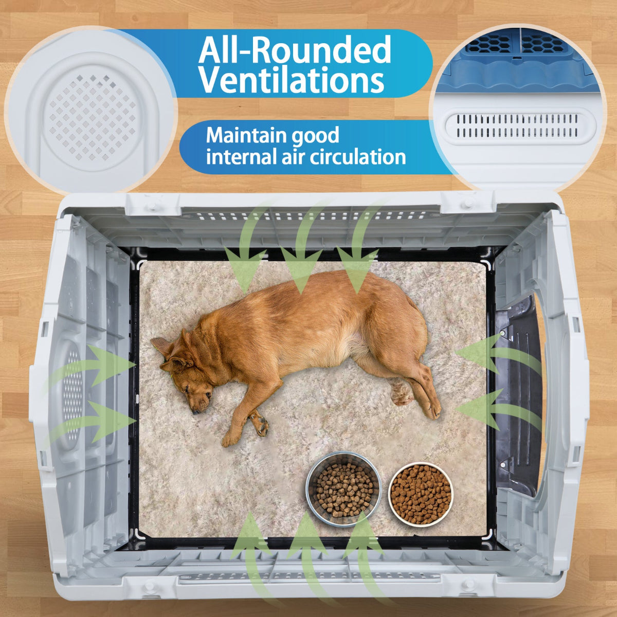 Waterproof Dog House with Adjustable Skylight & Elevated Base