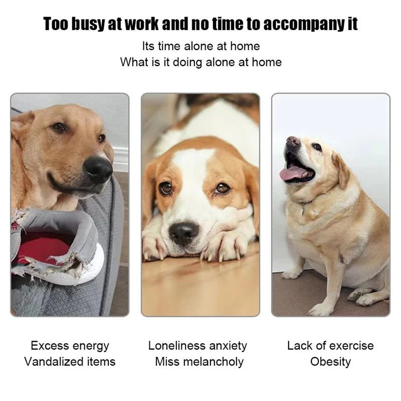 Automatic Dog Tennis Launcher – Interactive & Rechargeable Toy - Best Buddy Store