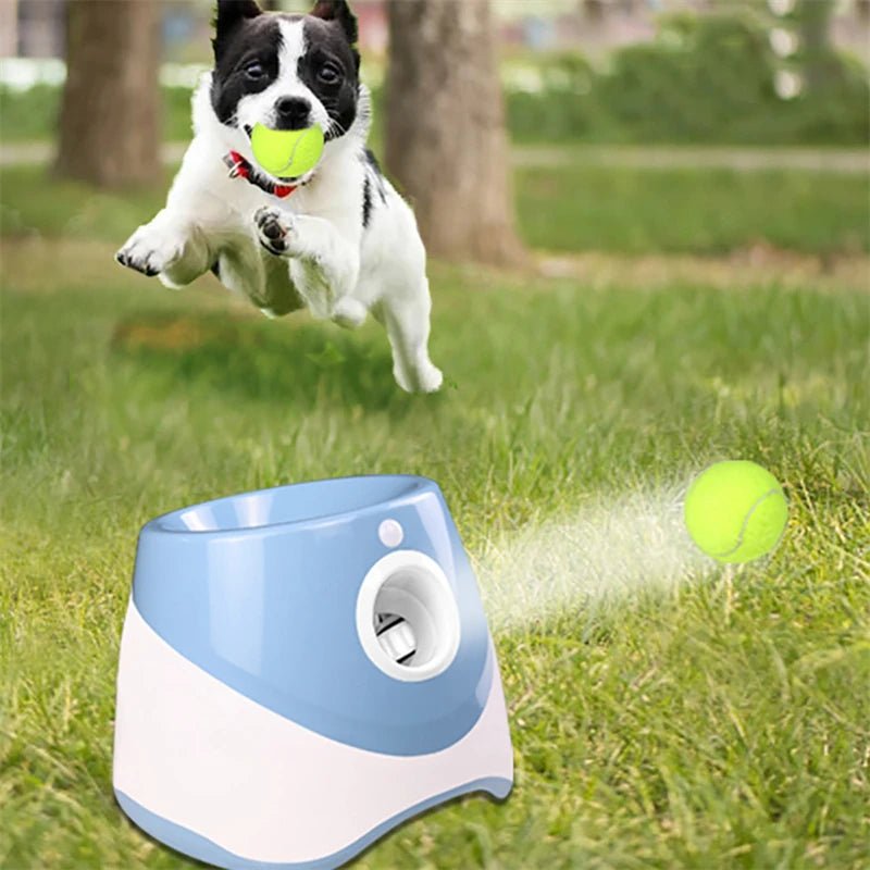 Automatic Dog Tennis Launcher – Interactive & Rechargeable Toy - Best Buddy Store