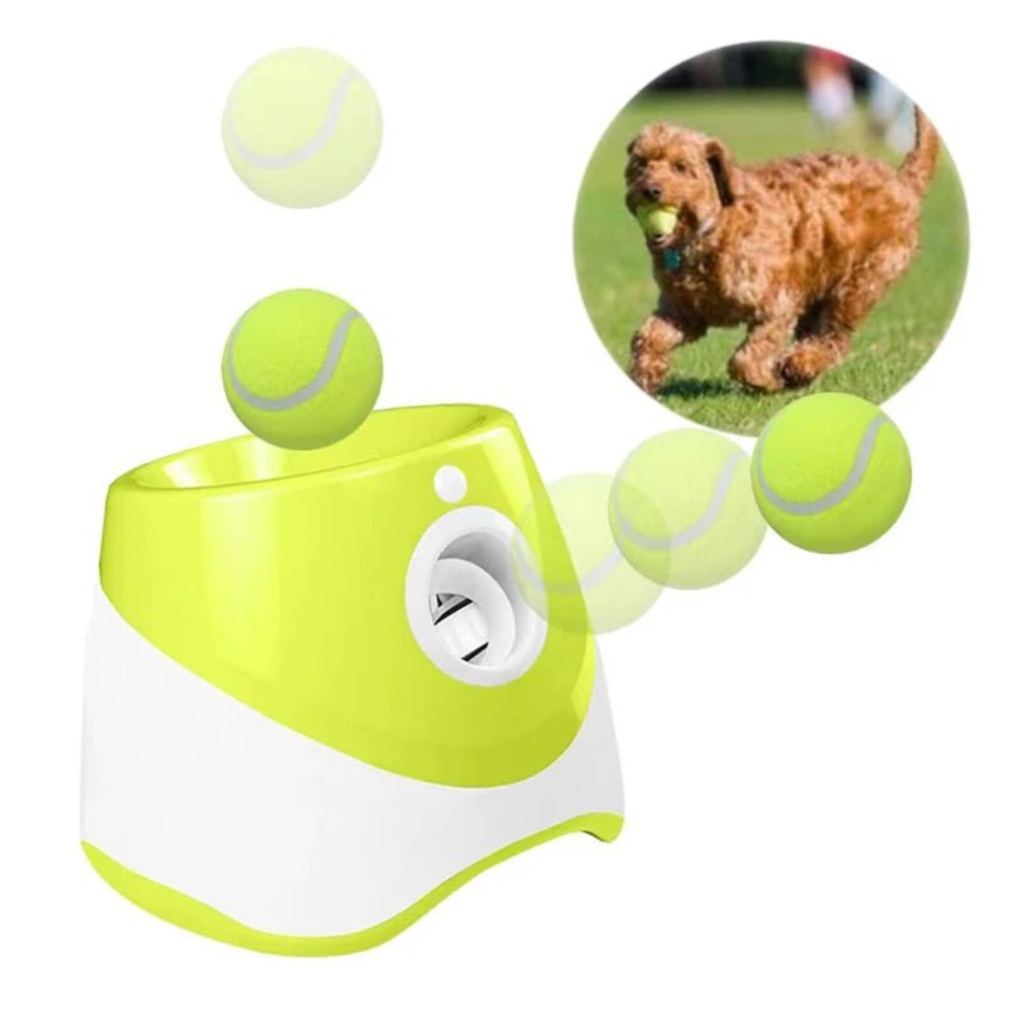Automatic Dog Tennis Launcher – Interactive & Rechargeable Toy - Best Buddy Store