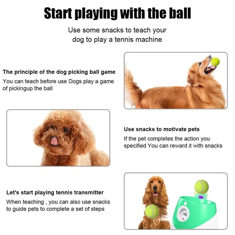 Automatic Dog Tennis Launcher – Interactive & Rechargeable Toy - Best Buddy Store