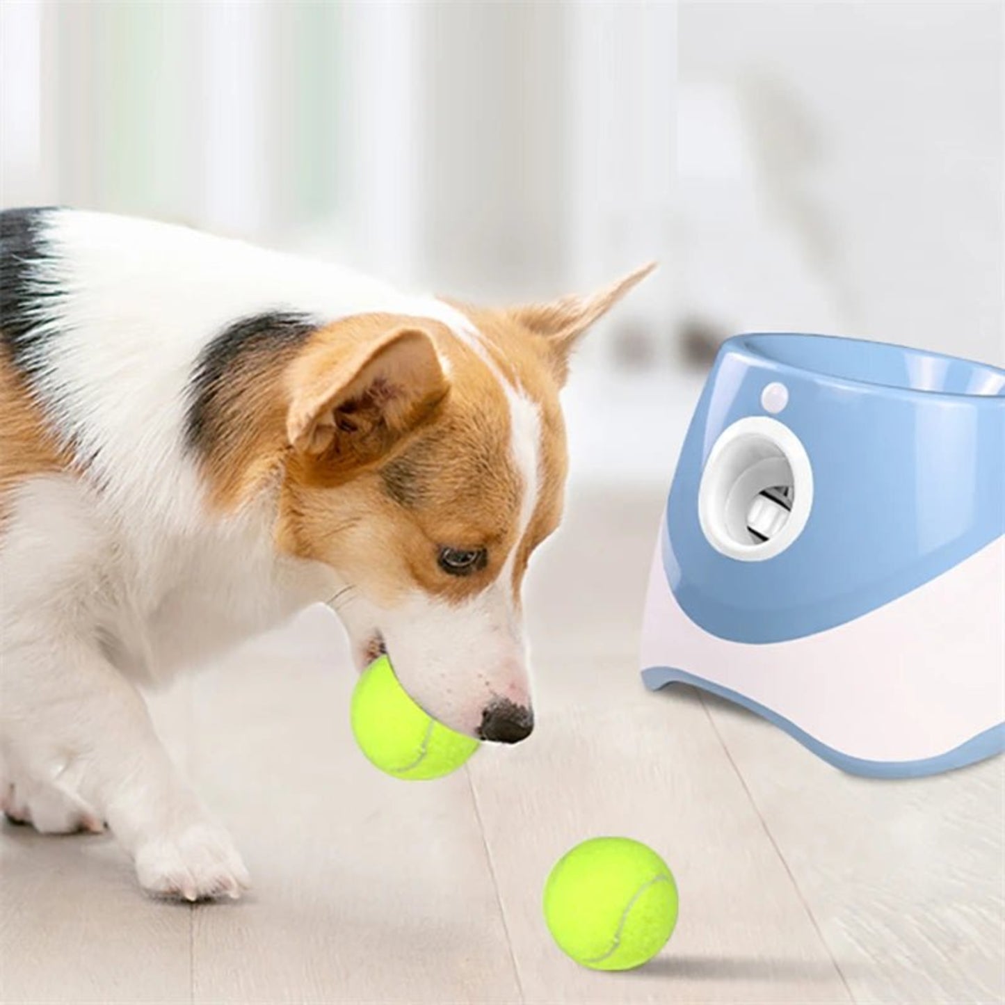 Automatic Dog Tennis Launcher – Interactive & Rechargeable Toy - Best Buddy Store
