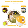 Automatic Dog Tennis Launcher – Interactive & Rechargeable Toy - Best Buddy Store