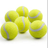 Automatic Throwing Dog Tennis Ball Launcher - Best Buddy Store