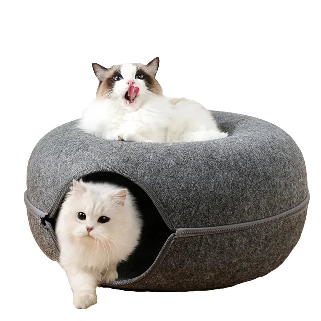 Cozy Donut Cat Bed and Tunnel - Best Buddy Store
