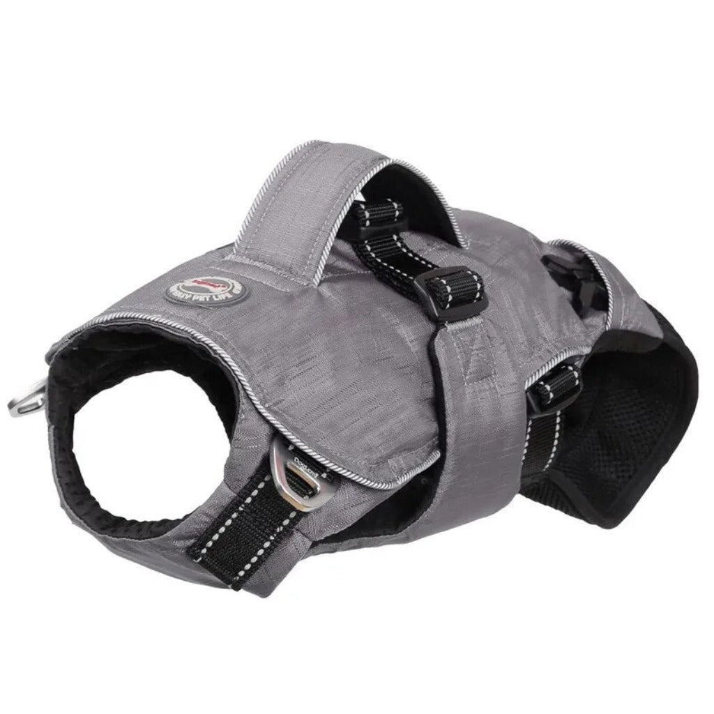 Dog Chest Carrier Harness Backpack with Walking Lead - Best Buddy Store