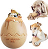 Dog Food Chew Leak Ball – Freeze Fillable Treat & Anxiety Reliever - Best Buddy Store