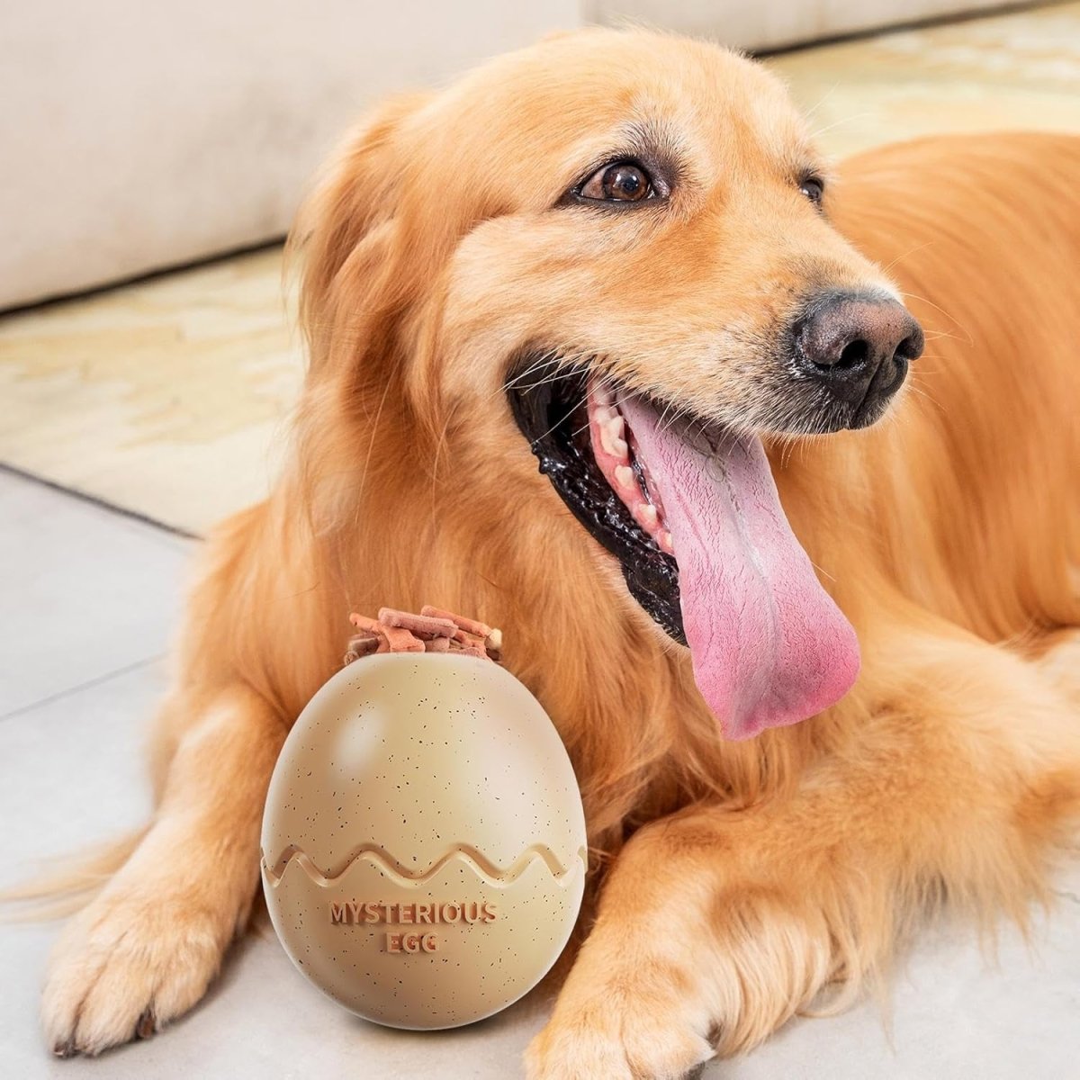 Dog Food Chew Leak Ball – Freeze Fillable Treat & Anxiety Reliever - Best Buddy Store