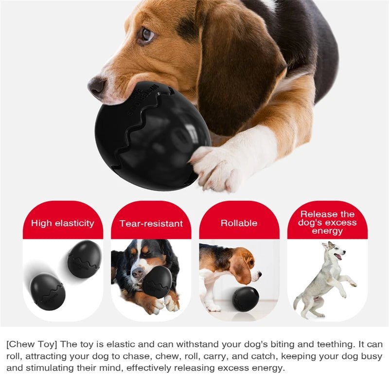 Dog Food Chew Leak Ball – Freeze Fillable Treat & Anxiety Reliever - Best Buddy Store