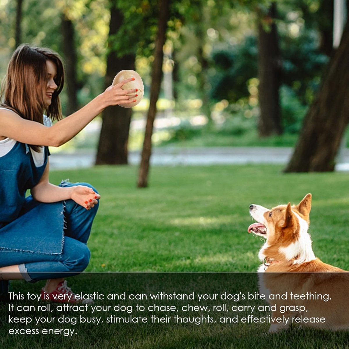 Dog Food Chew Leak Ball – Freeze Fillable Treat & Anxiety Reliever - Best Buddy Store