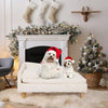 Elevated Pet Bed with Cozy Pad – Waterproof - Best Buddy Store