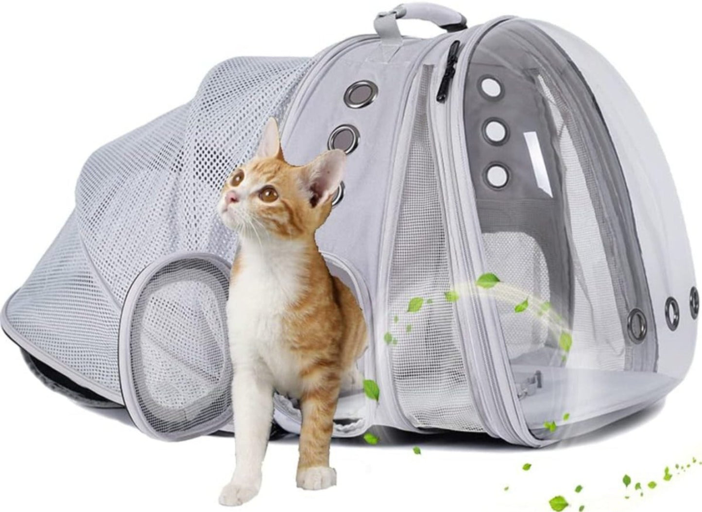 Portable Dual Expandable Cat Backpack Carrier - Best Buddy Store