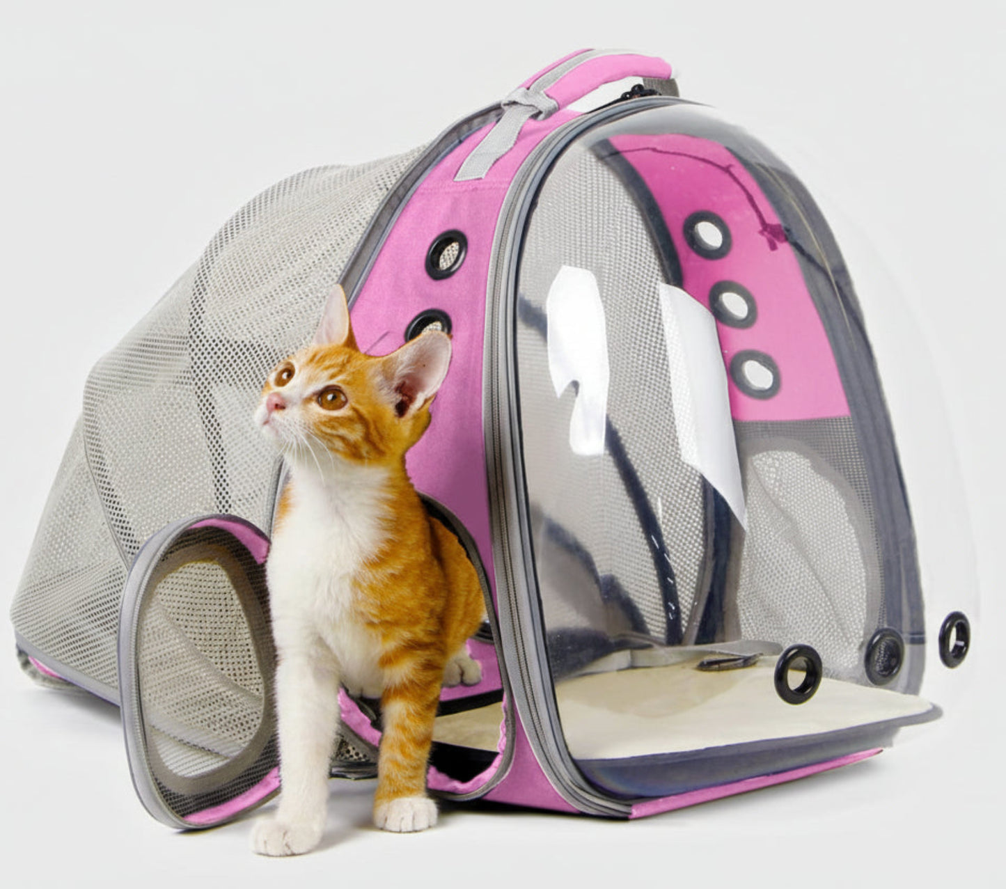 Portable Dual Expandable Cat Backpack Carrier - Best Buddy Store