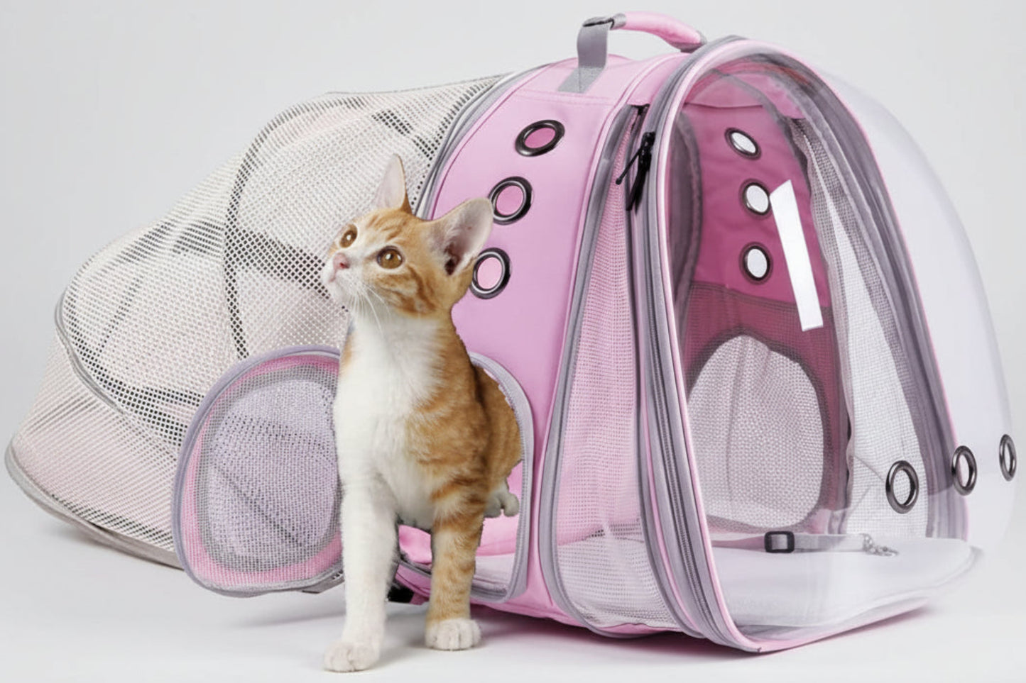 Portable Dual Expandable Cat Backpack Carrier - Best Buddy Store